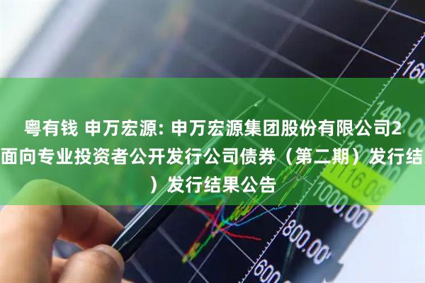 粤有钱 申万宏源: 申万宏源集团股份有限公司2025年面向专业投资者公开发行公司债券（第二期）发行结果公告