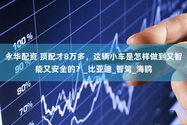 永华配资 顶配才8万多，这辆小车是怎样做到又智能又安全的？_比亚迪_智驾_海鸥