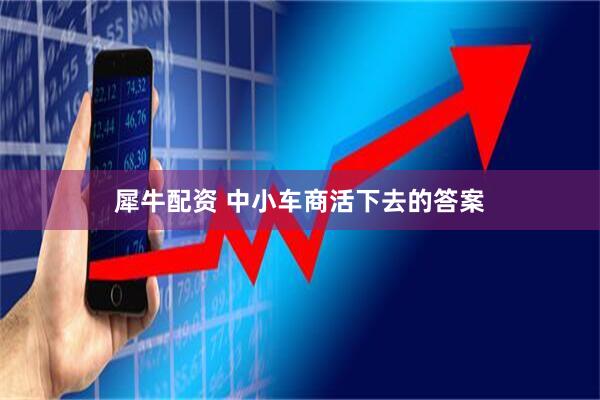 犀牛配资 中小车商活下去的答案