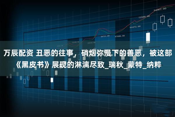 万辰配资 丑恶的往事，硝烟弥漫下的善恶，被这部《黑皮书》展现的淋漓尽致_瑞秋_蒙特_纳粹